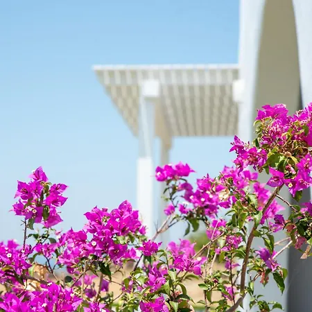 Vagianou Thea Bianco * Vívlos