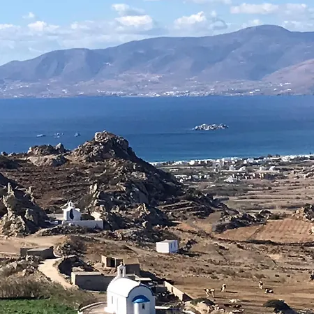 Daire Vagianou Thea Bianco *