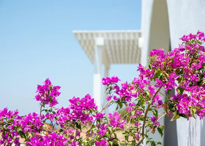 Vagianou Thea Bianco * Βίβλος